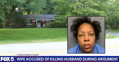 Wife killed husband with .357 over alleged 'affair': DA