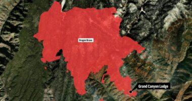 Wildfire that destroyed historic Grand Canyon Lodge was allowed to burn for days