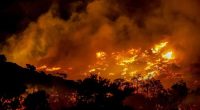 More than 200 firefighters are struggling to tackle an out-of-control wildfire on Crete — Greece's largest island and a tourist hotspot — as authorities order mass evacuations.