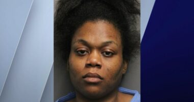 Woman charged with murder after allegedly drowning baby in Lake Michigan