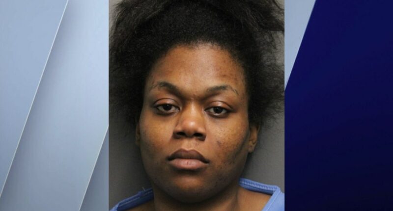 Woman charged with murder after allegedly drowning baby in Lake Michigan