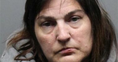 Woman faces charges in Delta pilot's child sex crime case