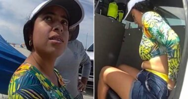Woman illegally in Florida nabbed while walking dog at beach, Volusia deputies say