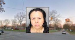 Woman killed boy, 3, in hit-and-run at fireworks show: Cops