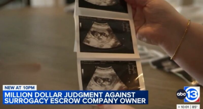 Woman stole funds intended for surrogate mothers: Lawsuit