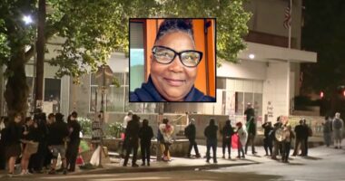 Woman sues over 'constant' ICE and Trump protest noise