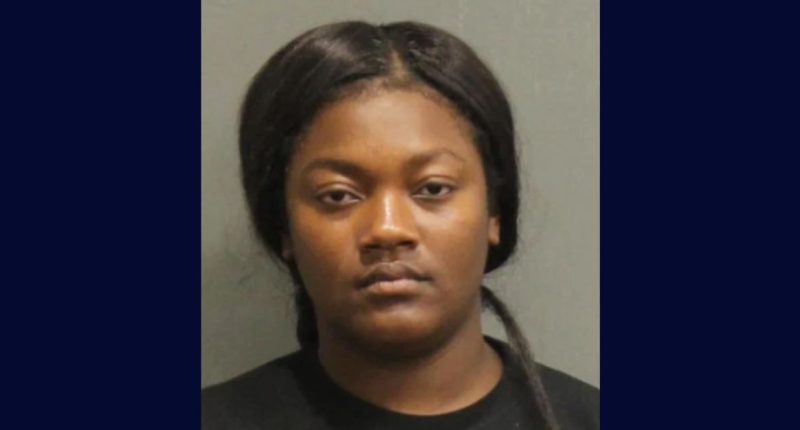 Woman used bug foggers to evict family from apartment: Cops