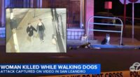 Woman walking dogs with boyfriend shot by 21-year-old: Cops