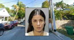 Women sprays driver with bear mace for killing chicken: Cops