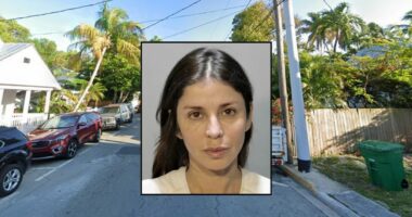 Women sprays driver with bear mace for killing chicken: Cops