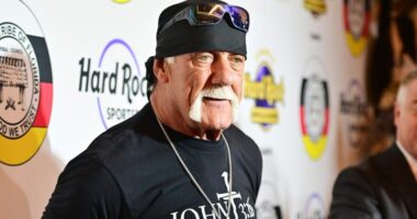 Hulk Hogan