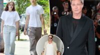 ‘Desperate’ Brad Pitt makes final plea to ‘make amends’ with twins ahead of their 17th birthday