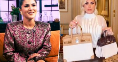 ‘RHOM’ star Stephanie Shojaee defends extensive Birkin collection worth more than $1M: ‘I am investing’