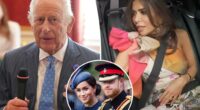 ‘Real Housewives of London’ star forbidden from asking King Charles about Prince Harry and Meghan Markle