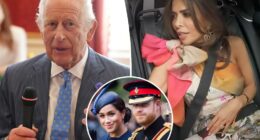‘Real Housewives of London’ star forbidden from asking King Charles about Prince Harry and Meghan Markle