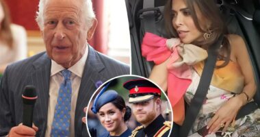 ‘Real Housewives of London’ star forbidden from asking King Charles about Prince Harry and Meghan Markle