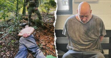 ‘Devil in the Ozarks’ investigators uncover how murderer escaped prison before manhunt