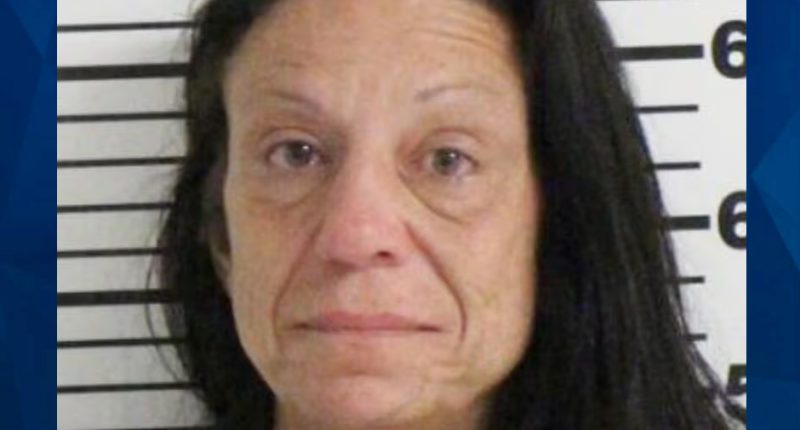 ‘I Want That Baby’: Random Woman Breaks Into Home to Steal Infant From Family