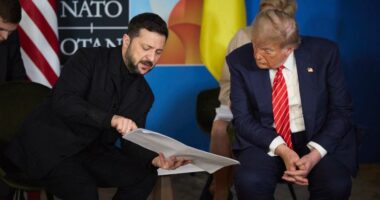 Volodymyr Zelenskyy and Donald Trump seated at the NATO Summit.