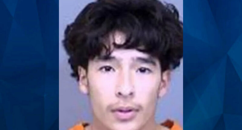 16-Year-Old Boy Stabs Classmate to Death IN CLASS