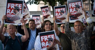 A Tunisian musician was detained in LA after living in US for a decade. His doctor wife speaks out