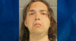 24-Year-Old Gamer Boy Fatally Beats Mom With Hammer, Confesses to Gamer Friend