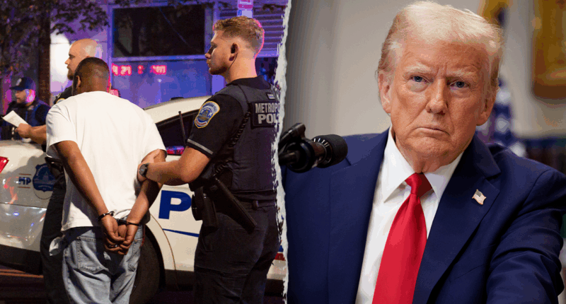 81% of Americans see crime as 'major problem,' new poll shows