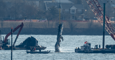 Air traffic controller should have warned plane of Army helicopter's path ahead of fatal DC crash: FAA