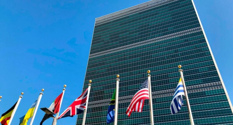 Almost 6 in 10 say UN members should recognize Palestinian state: Survey