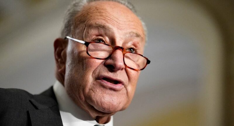 Another Dem rebukes Schumer in dire signs for liberal leadership