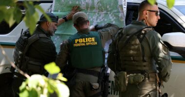 Another hopeful 'spotting' of killer Travis Decker goes cold