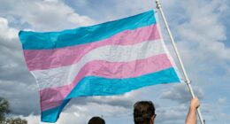 Appeals court allows Arkansas to enforce gender-affirming care ban