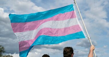 Appeals court allows Arkansas to enforce gender-affirming care ban