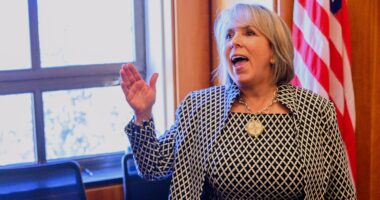 Appeals court blocks New Mexico's 7-day waiting period for gun purchases, saying it violates 2nd Amendment