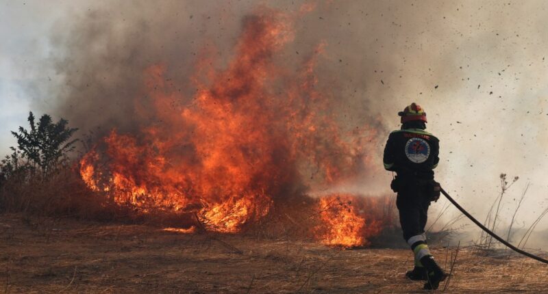 Firefighter battling a wildfire.