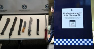 Australian state rolls out machete ‘disposal bins’ ahead of ban