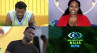 Day 10: Housemates side-eye HoH’s choices – #BBNaija
