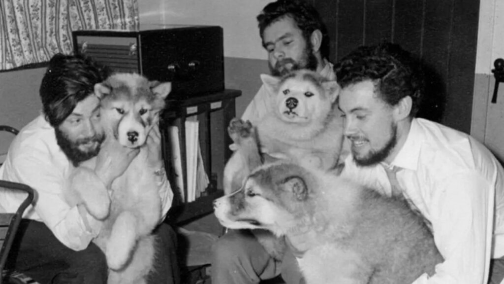 Body of Antarctic explorer found after 66 years after his disappearance