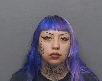 Mugshot of Ashley Pardo, charged with aiding in the commission of terrorism.