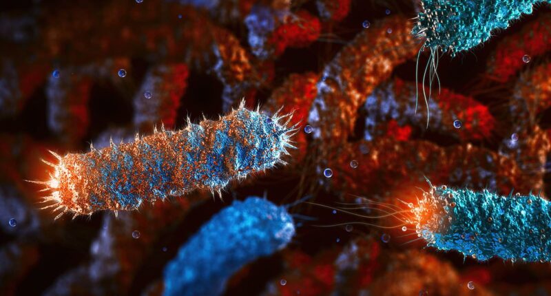 Breakthrough as scientists create a new form life