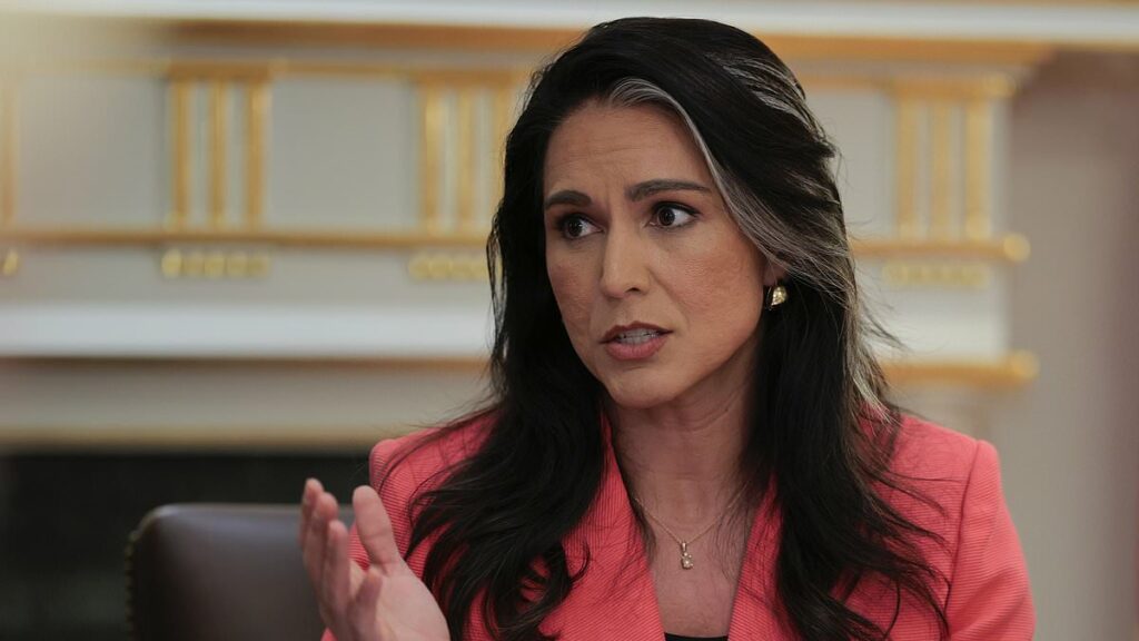 CIA agent outted by Gabbard has ties to 'deep state,' officials say