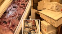 California man arrested for hoarding $31,000 worth of stolen meat