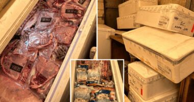 California man arrested for hoarding $31,000 worth of stolen meat
