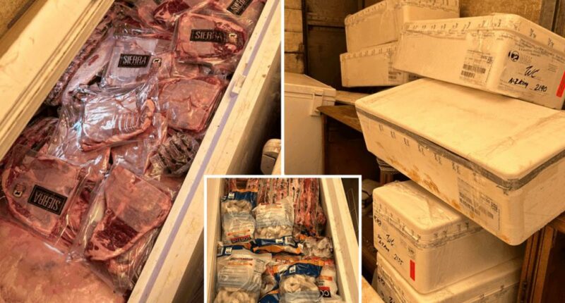 California man arrested for hoarding $31,000 worth of stolen meat