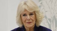 Camilla 'was assaulted by a stranger on a train when she was a teen'
