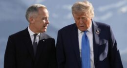 Canadian trade minister sees 'great deal of common ground' with US