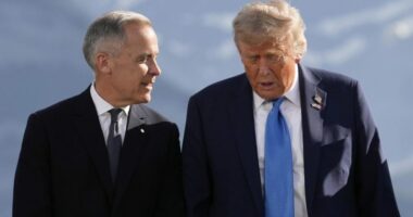 Canadian trade minister sees 'great deal of common ground' with US