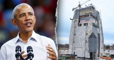 Chicago residents call Obama Presidential Center a 'monstrosity,' fear they'll be displaced: report