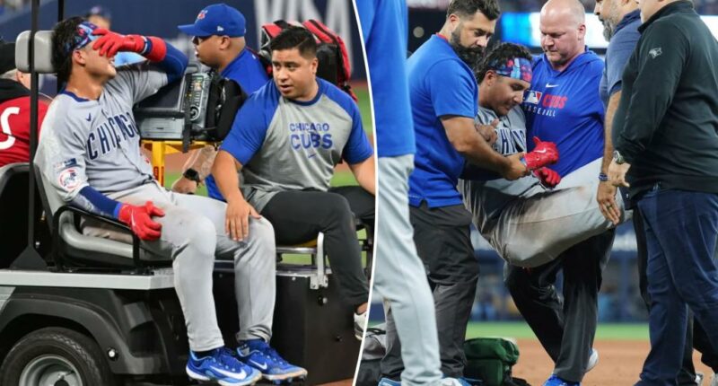Cubs catcher Miguel Amaya carted off field after scary injury