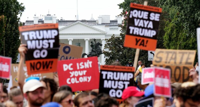 DC paid protester requests surge 400% amid Trump’s federal takeover of city police: crowd company